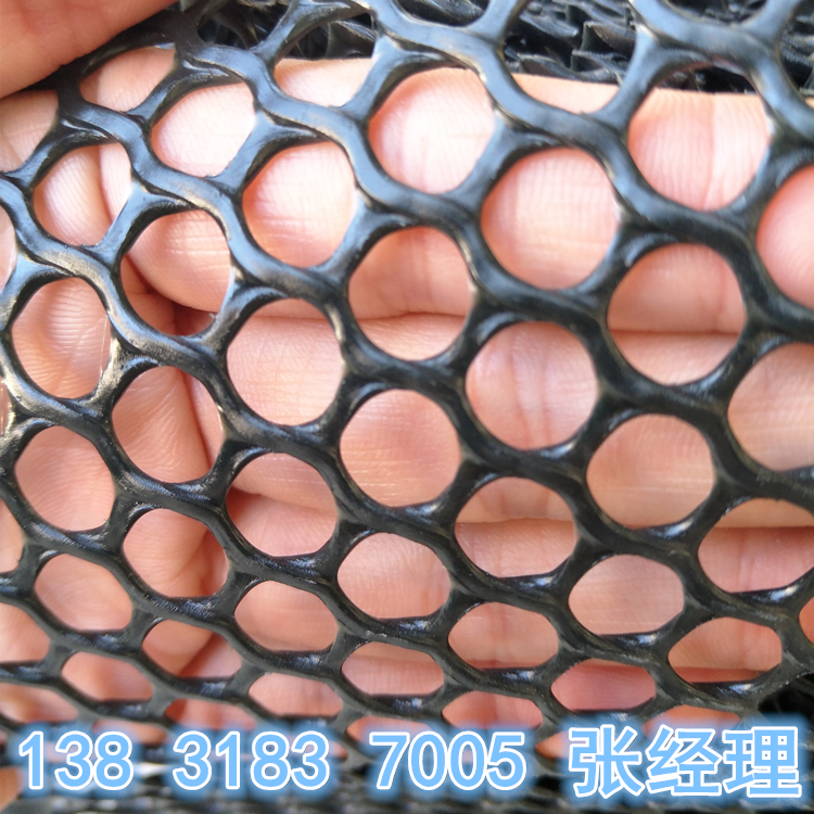 45601501814718.jpg