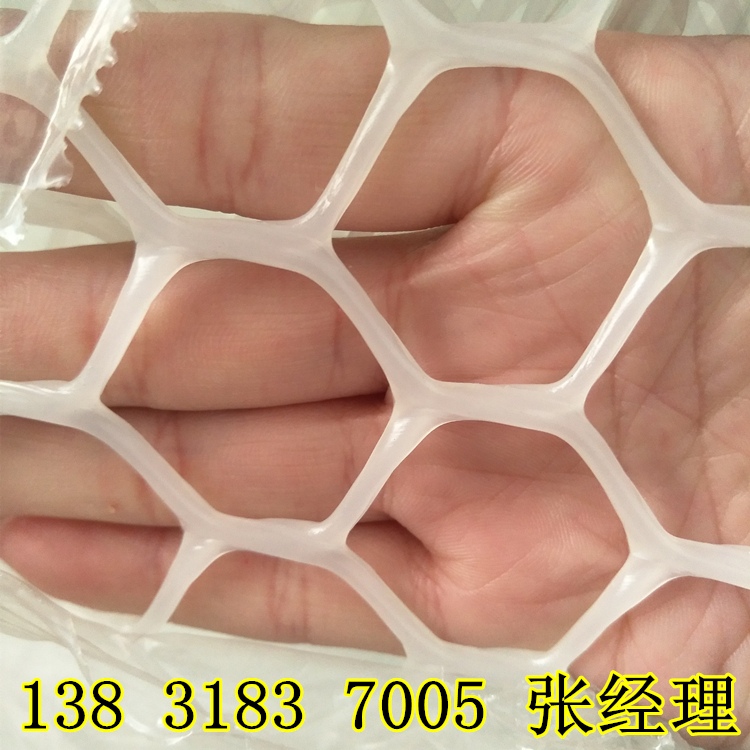 68811501814855.jpg