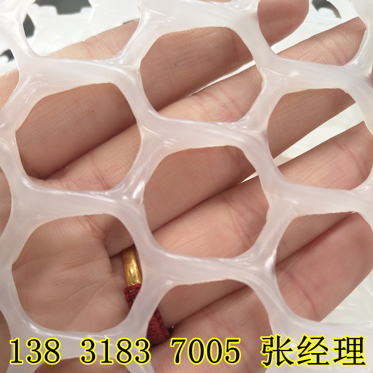 8311501816356.jpg